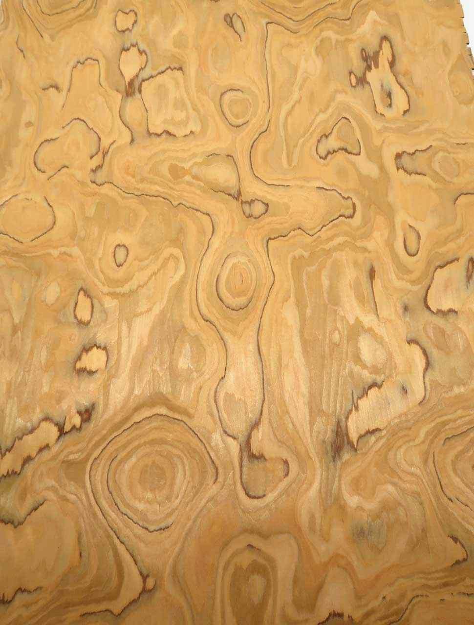 Wild Olive Holzfurnier SaRaiFo Olivenholz Furnier 250x32cm | eBay.de