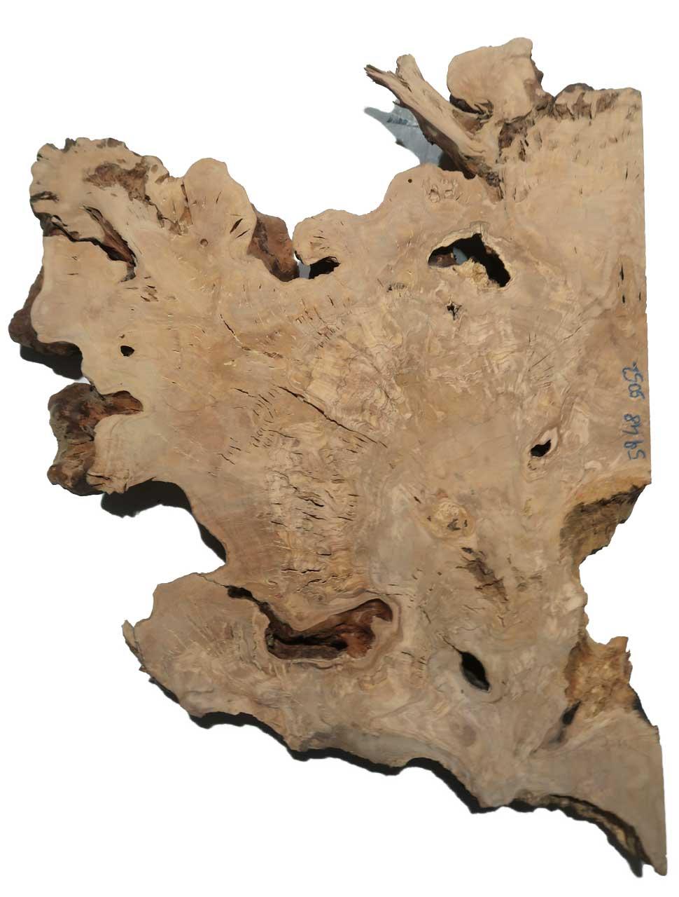 1x Oliven Wurzelholz Olivenbaum Maser Holz 59x48cm x 50-52mm | eBay