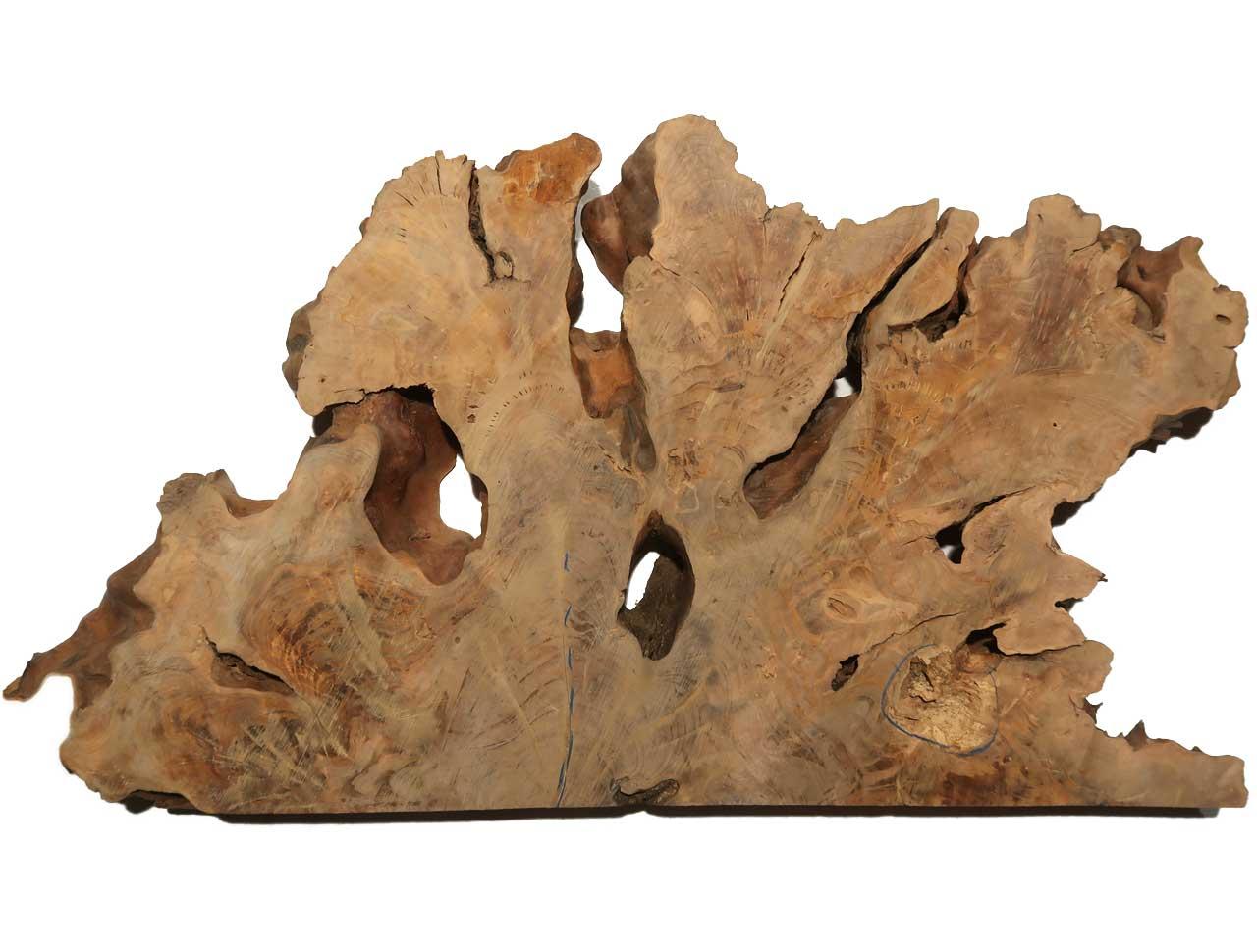 1x Oliven Wurzelholz Olivenbaum Maser Holz 88x50cm x 62-68mm | eBay.de