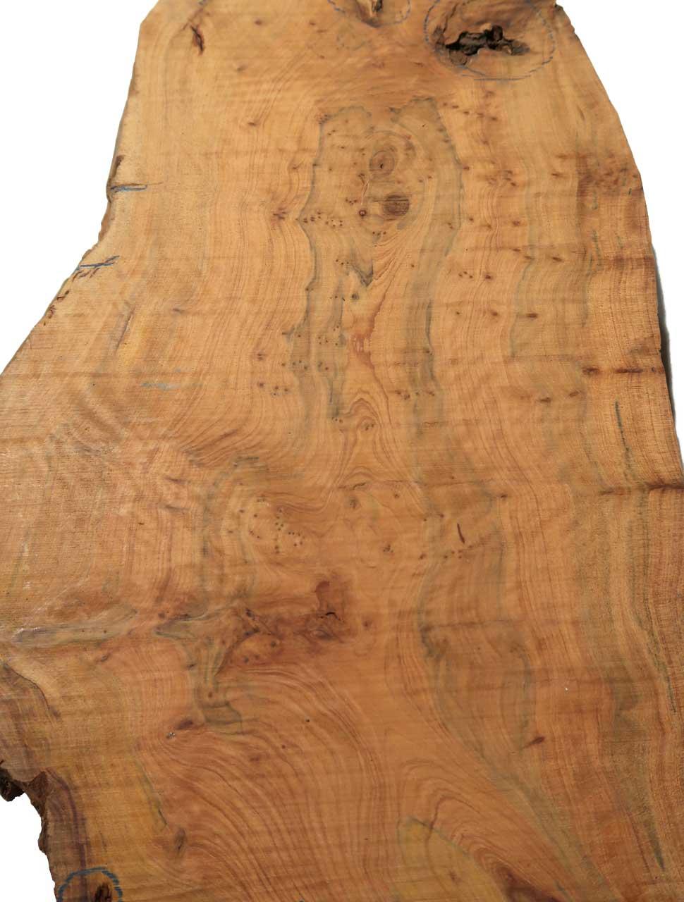 Thuja Maser Wurzelholz Thuya Epoxid Holz burl 70x12-29cm 63/65mm | eBay
